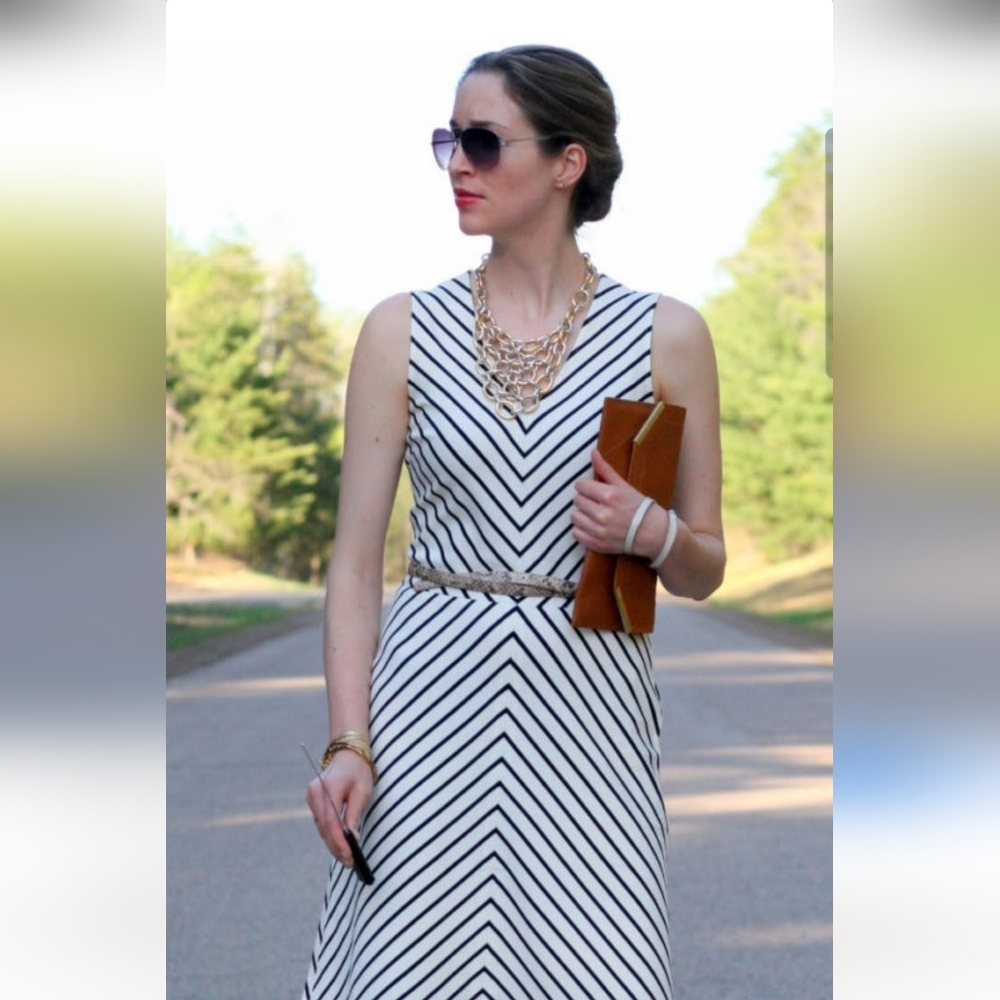 Banana Republuc Sleeveless Elegant Black and White Striped Dress Size 10